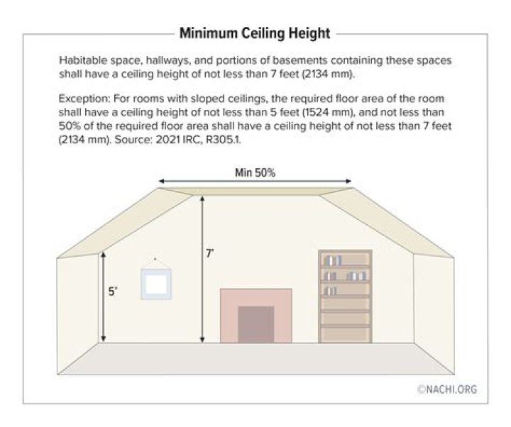 Bellingham's Towering Height: A Comprehensive Guide