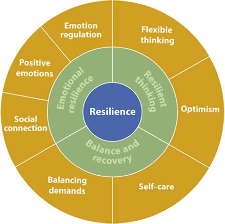 Drew Scott Health: A Journey To Wellness And Resilience
