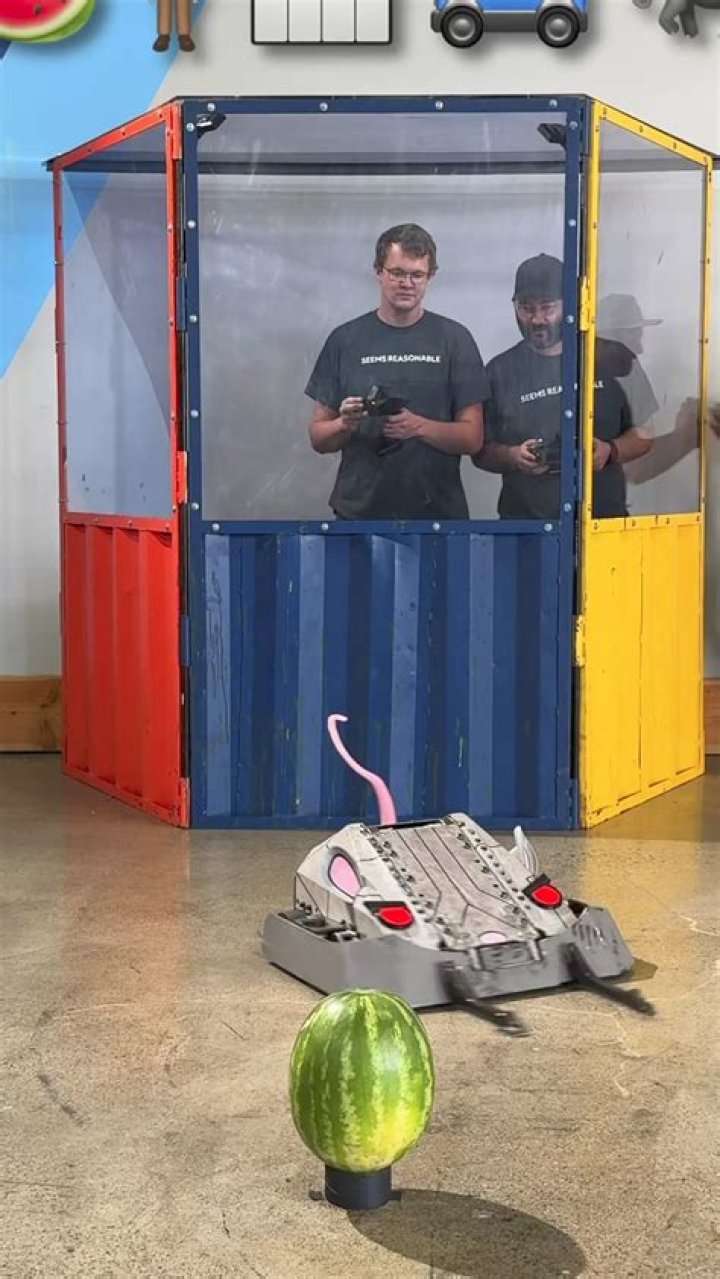 Exploring The Life And Collaborations Of Mark Rober's Partner