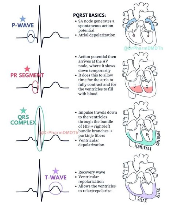 Unraveling The Controversy: Rod Wave Arrest And Its Implications